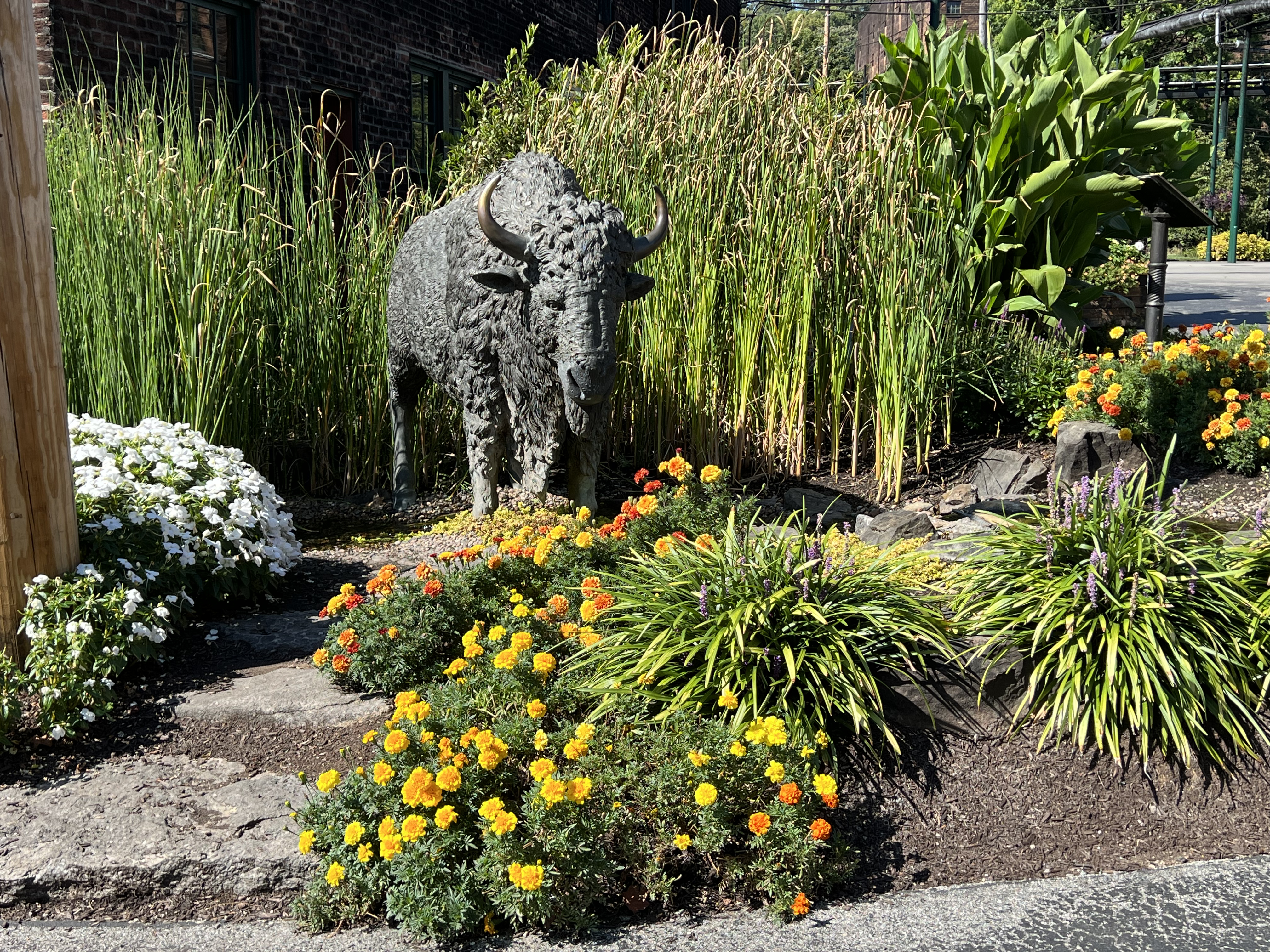 ./2023/12 - Kentucky/IMG51.jpg